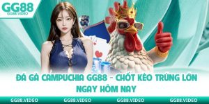 Đá Gà Campuchia GG88 - Chốt Kèo Trúng Lớn Ngay Hôm Nay